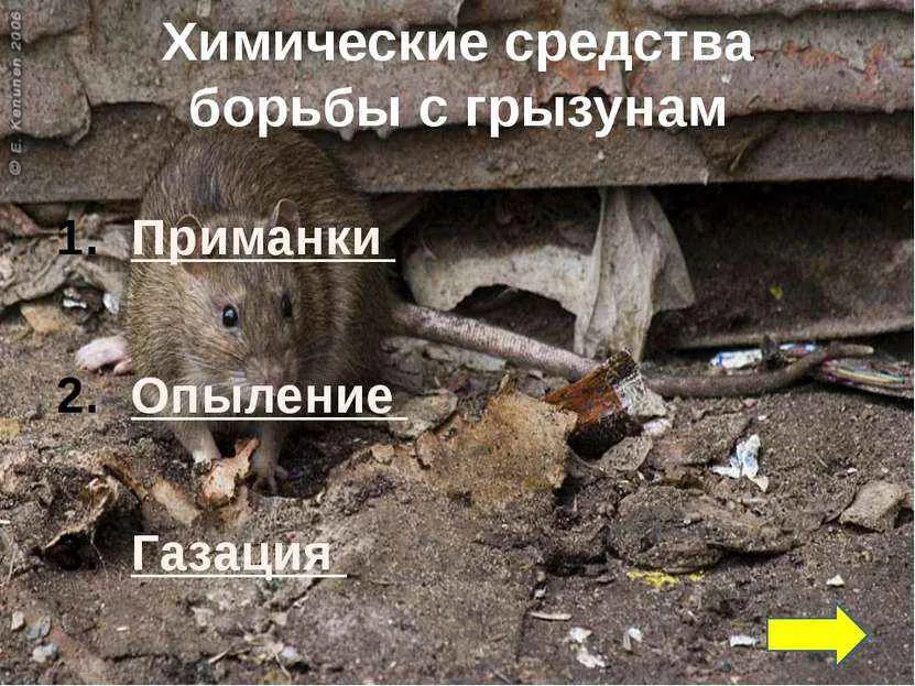 На фото описано про химические средства уничтожения грызунов