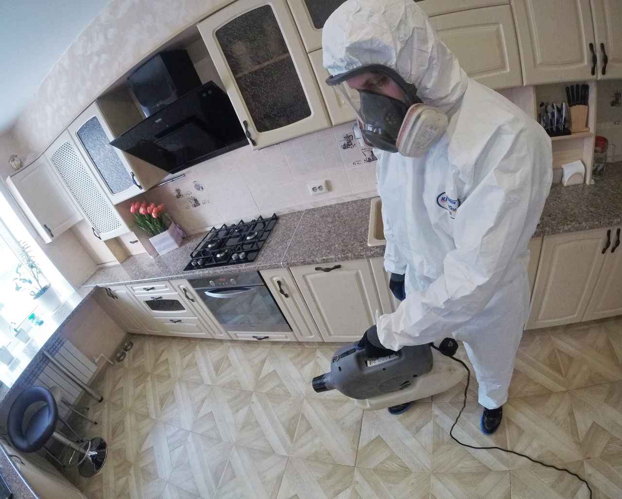 На фото показана защита от тараканов