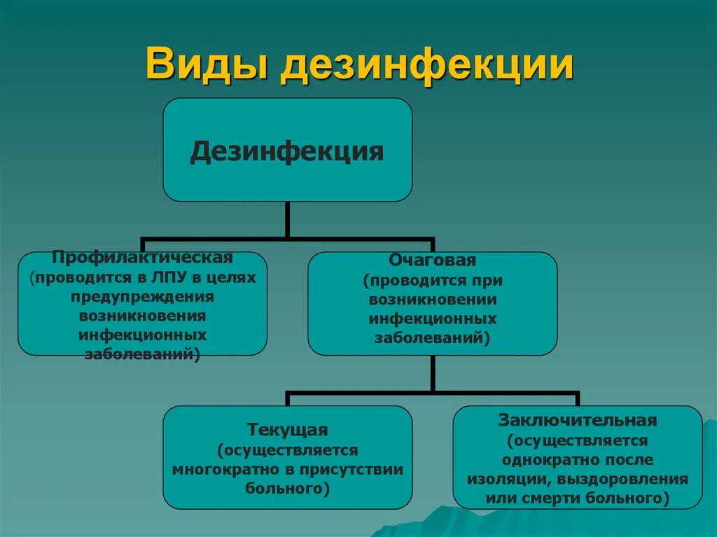 На фото описаны виды дезинфекции