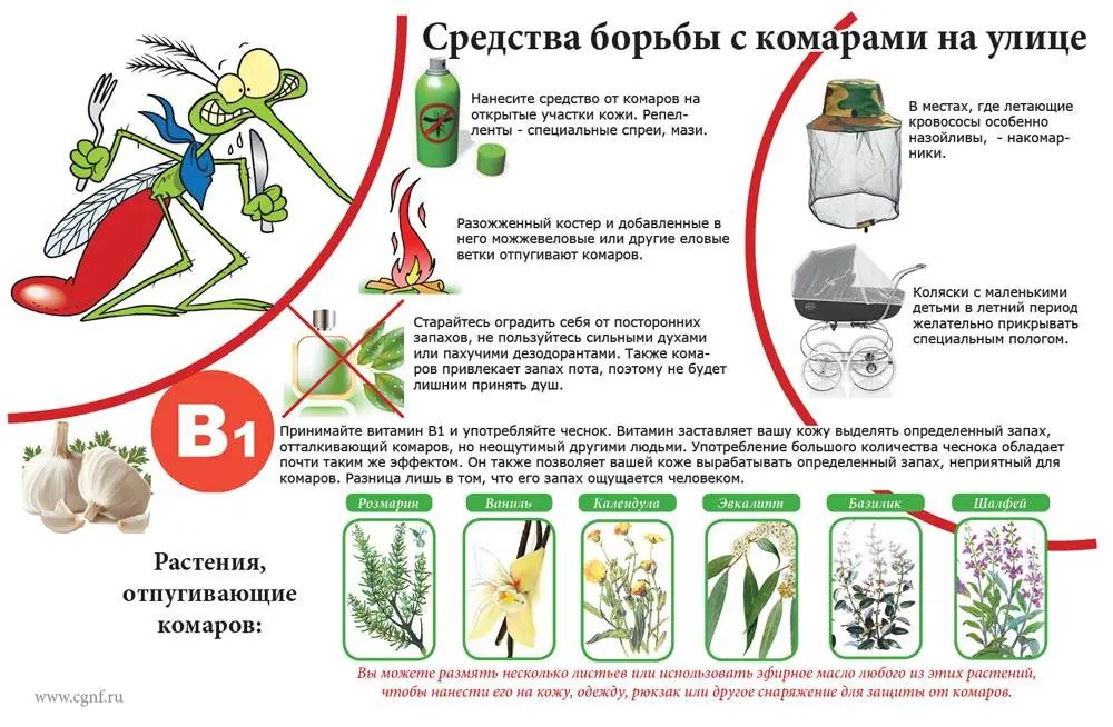 На этом фото описаны средства уничтожения комаров на улице